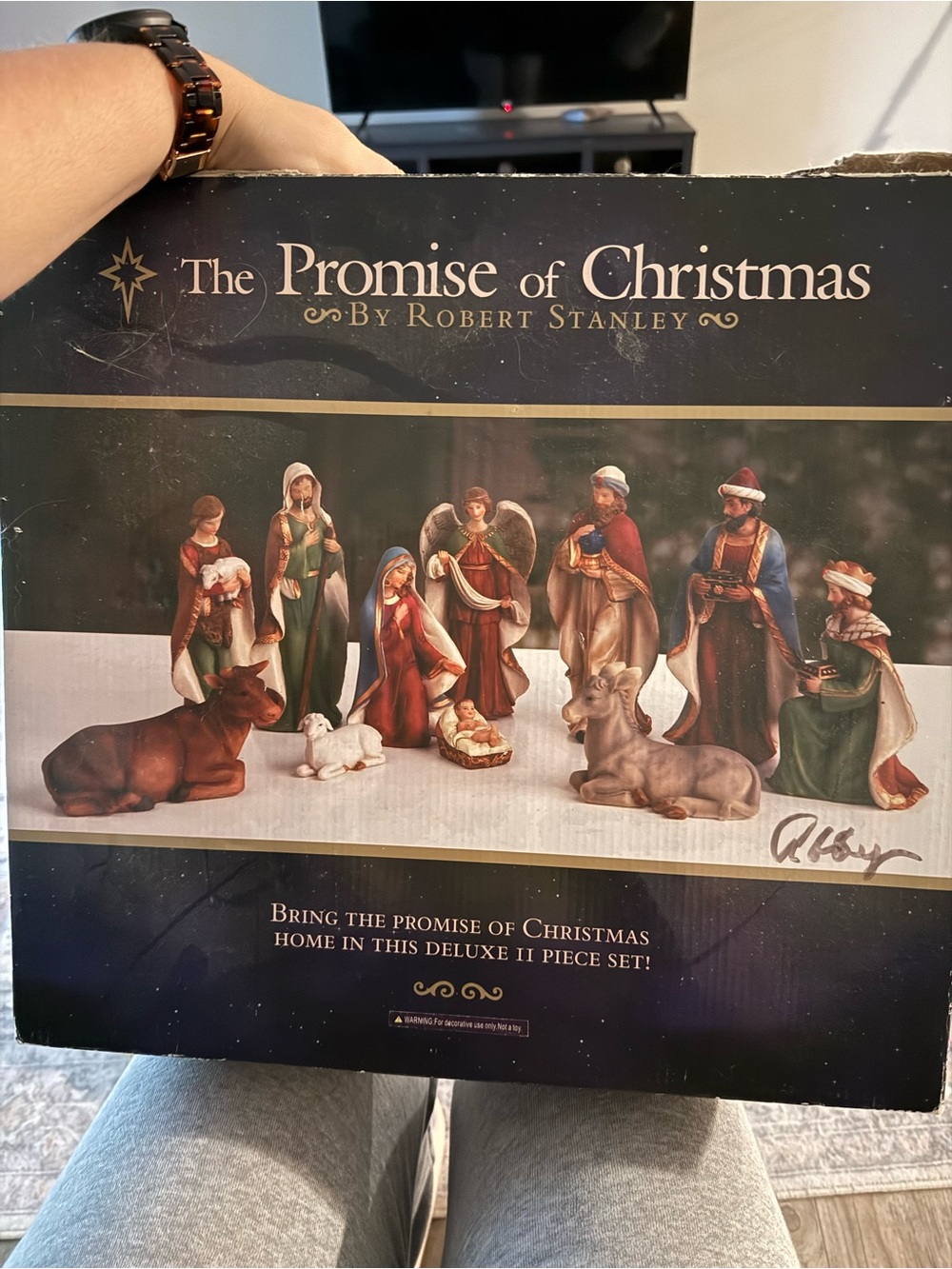 The Promise of Christmas Nativity Set by – Robert Stanley Multi (11-Piece)